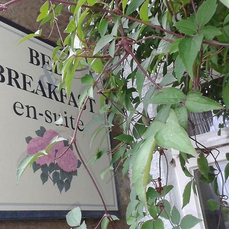 Thorpe Green House Vegetarian Bed & Breakfast Robin Hood's Bay Exteriér fotografie