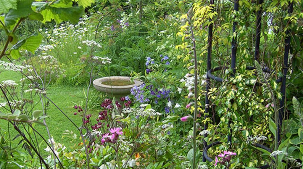 Thorpe Green House Vegetarian Bed & Breakfast Robin Hood's Bay Exteriér fotografie