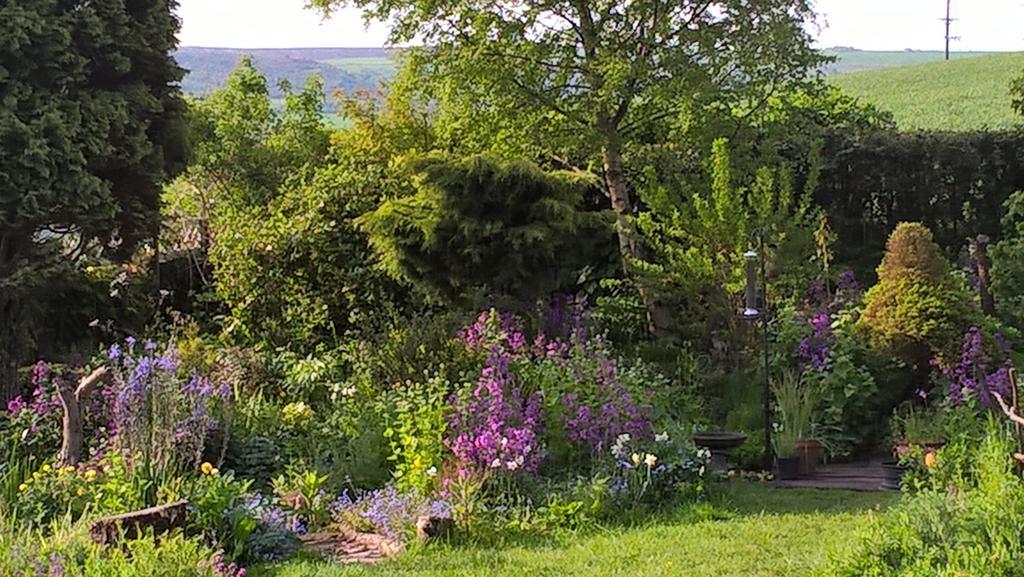 Thorpe Green House Vegetarian Bed & Breakfast Robin Hood's Bay Exteriér fotografie