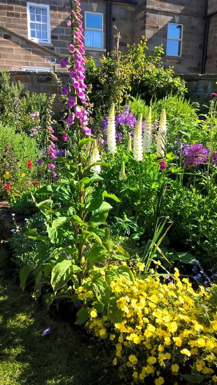 Thorpe Green House Vegetarian Bed & Breakfast Robin Hood's Bay Exteriér fotografie