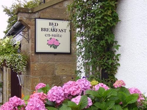 Thorpe Green House Vegetarian Bed & Breakfast Robin Hood's Bay Exteriér fotografie