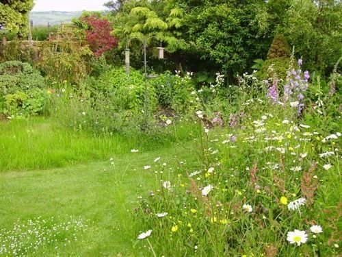 Thorpe Green House Vegetarian Bed & Breakfast Robin Hood's Bay Exteriér fotografie